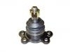 球头 Ball Joint:44430 03011